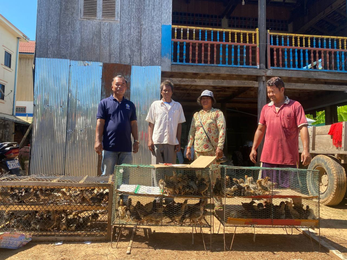 Make more money through strengthening chick production and expanding market