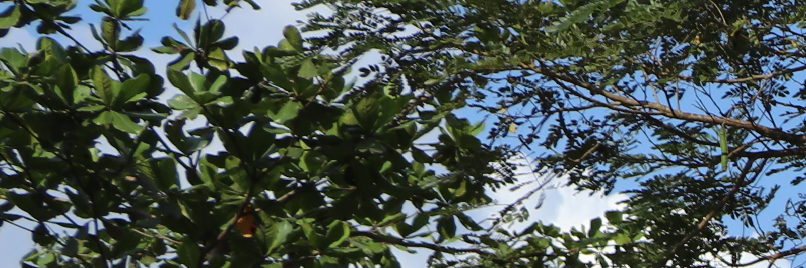 ទំនាក់ទំនង