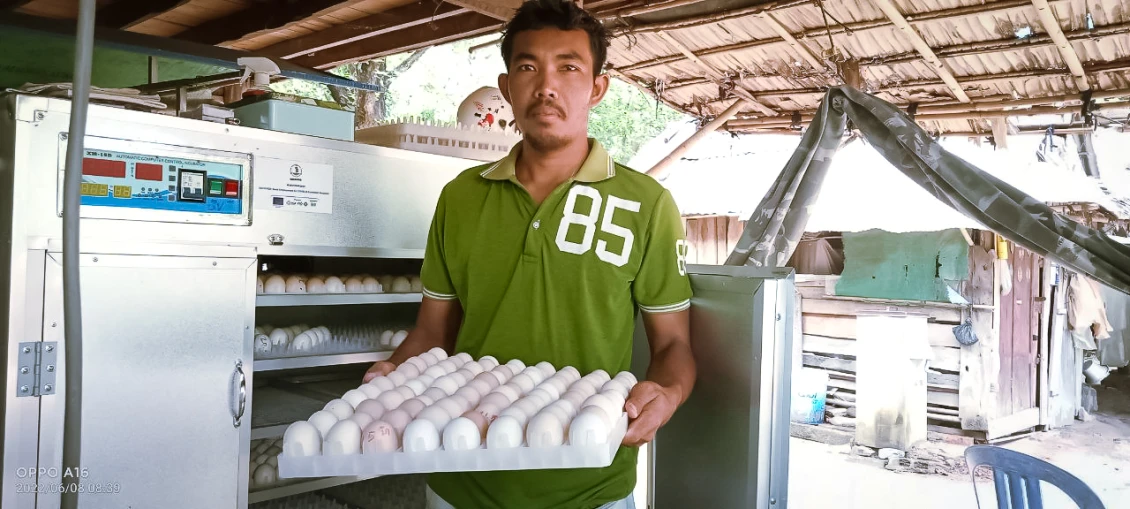 Sarin and his chicken eggs