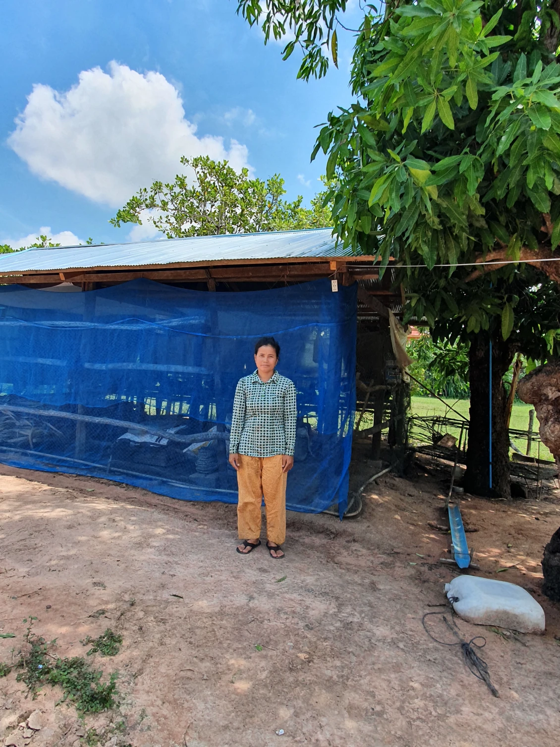 Yim and her chicken farm