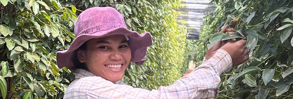 Kampot Cooling: Innovative Technology Solution to Save Cambodia’s World-Famous Pepper 