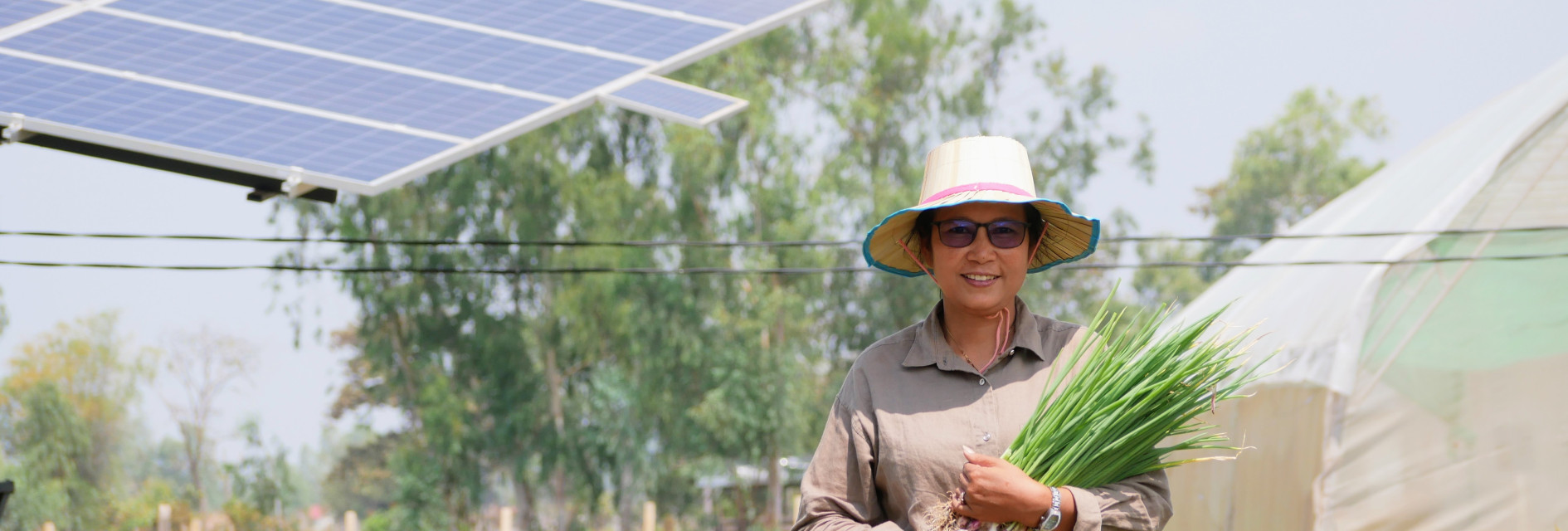 Accelerating Sustainability in Cambodia’s Agri food System (ASCA)