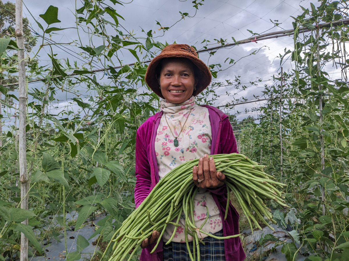 Ms. Nop Kolap showcasing her cultivated green beans from her farm