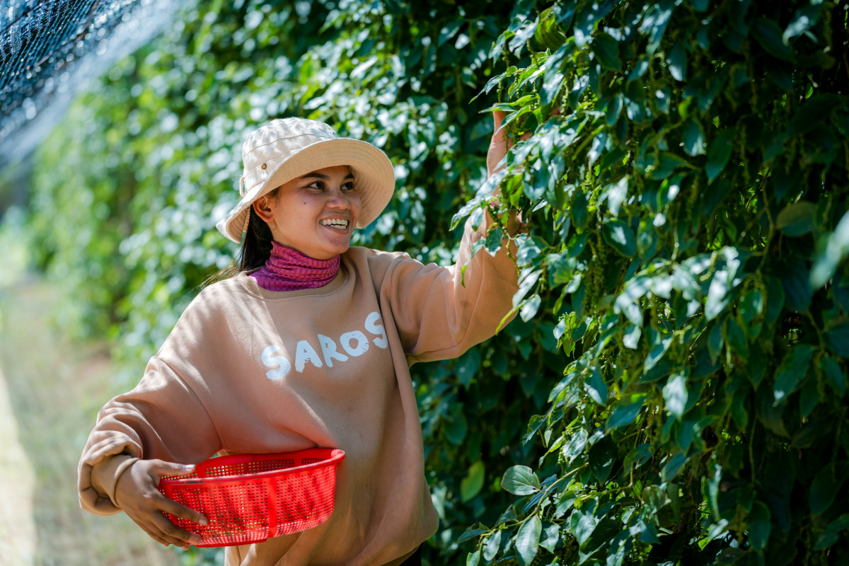 Empowering Women Farmers: Mrs. Heng Thavy’s Journey with Innovative Agriculture 