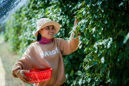 Empowering Women Farmers: Mrs. Heng Thavy’s Journey with Innovative Agriculture 