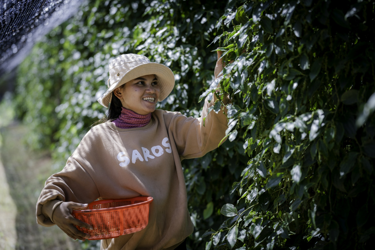 Empowering Women Farmers: Mrs. Heng Thavy’s Journey with Innovative Agriculture