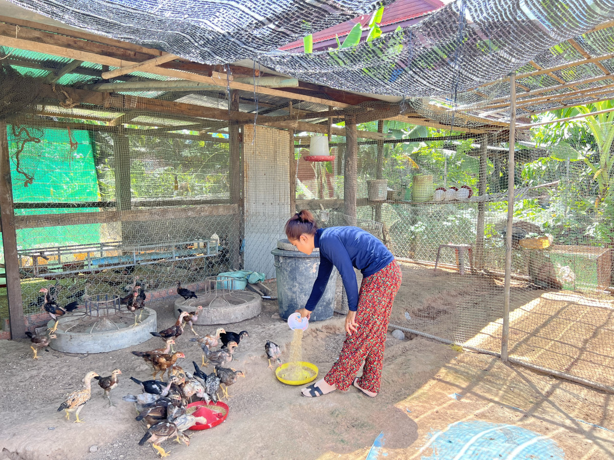 ចំណាយពេលតិច ប៉ុន្តែទទួលបានផលចំណេញច្រើន