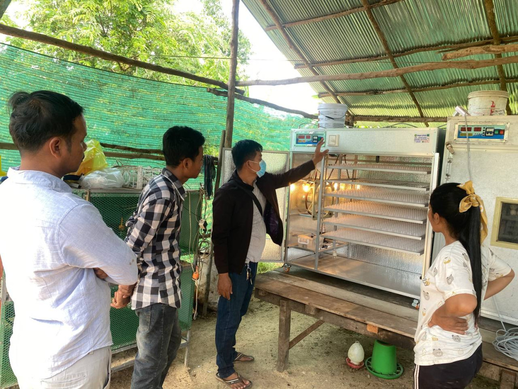 Dev4SCALE: Development of Poultry Value Chain for Sustainable Community Adaptive Livelihood Enhancement